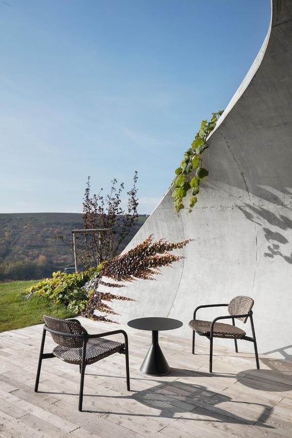 Gurdau Vinarstvi Aparthotel Kurdejov Exterior photo